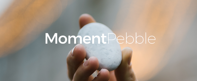 moment pebble social sharing.png